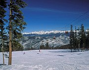 Beaver Creek